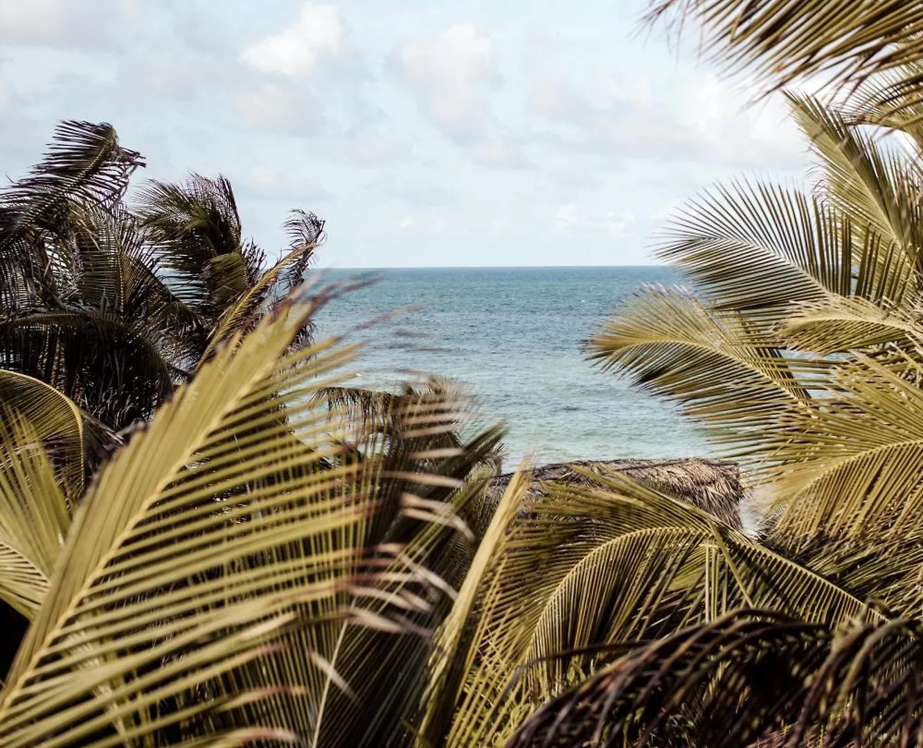 Umi Tulum Hotel Mexico