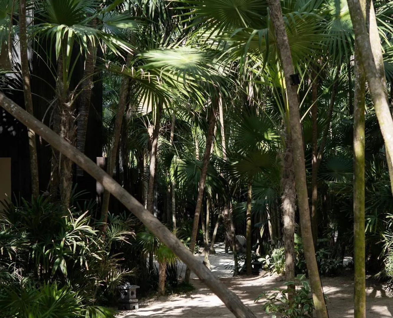 Umi Tulum Hotel