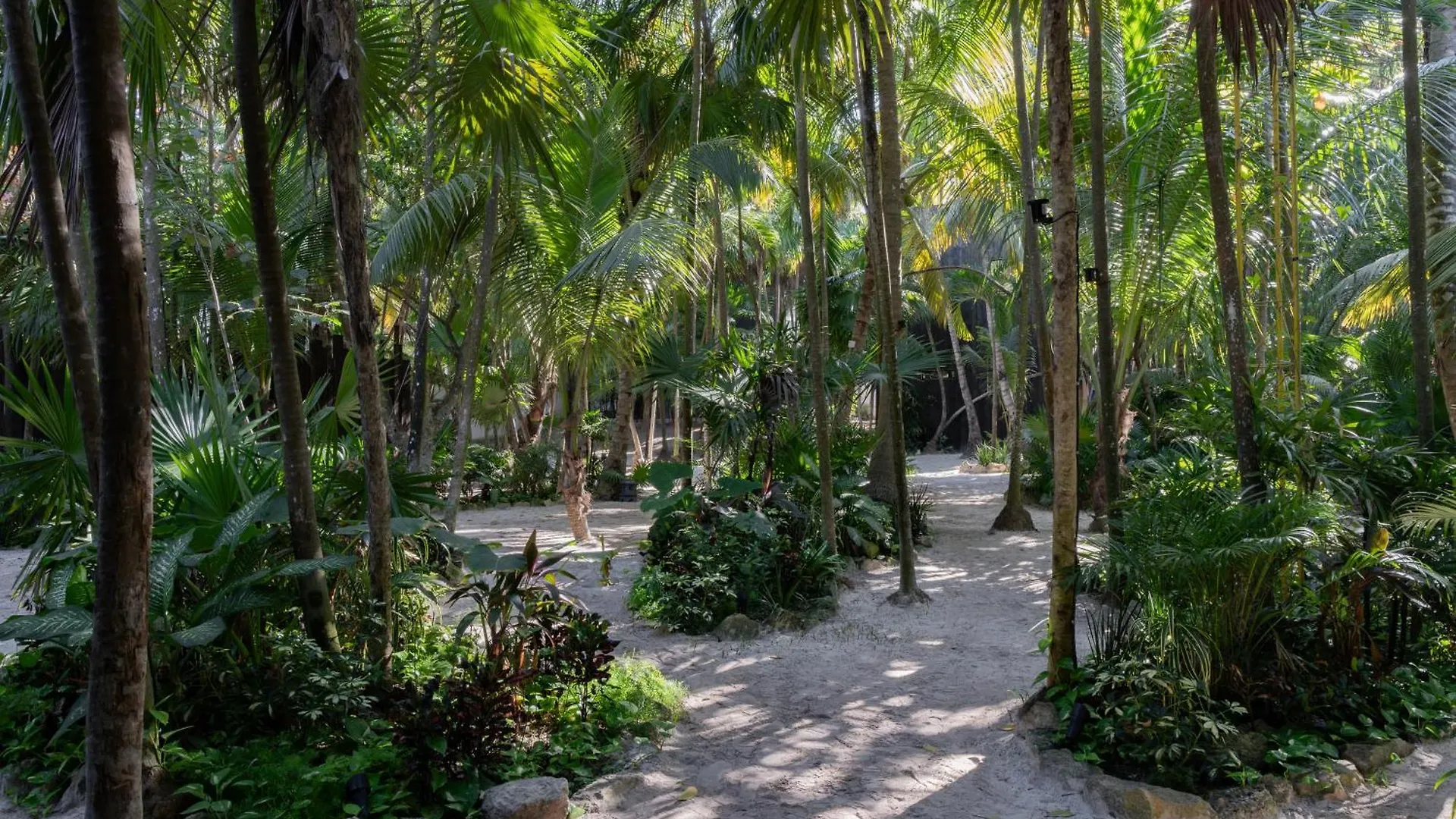 Umi Tulum Hotel 0*,  Mexico